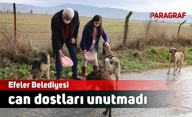 Efeler Belediyesi can dostları unutmadı