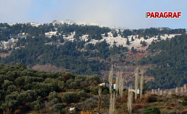 Yılın ilk karı yağdı