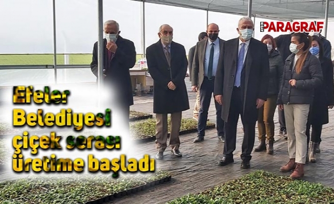 Efeler Belediyesi çiçek serası üretime başladı