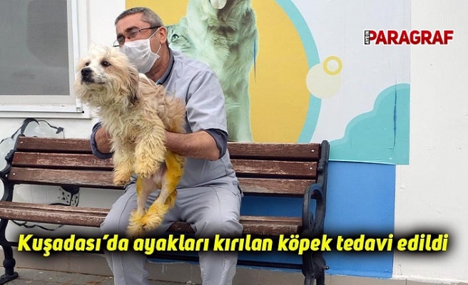 Kuşadası’da ayakları kırılan köpek tedavi edildi