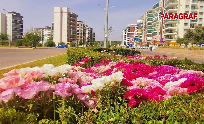 Aydın Büyükşehir Belediyesi çalışıyor, Nazilli güzelleşiyor