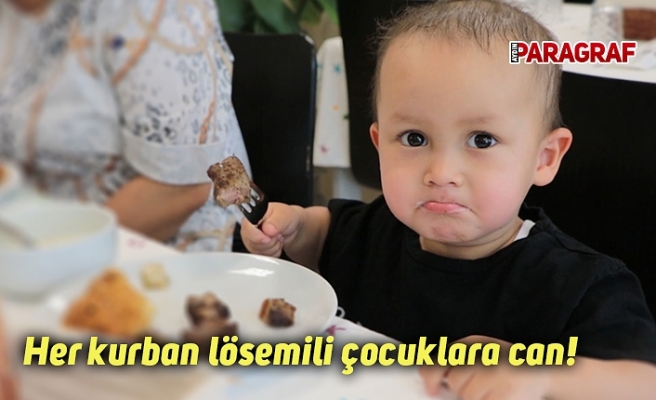 Her kurban lösemili çocuklara can!