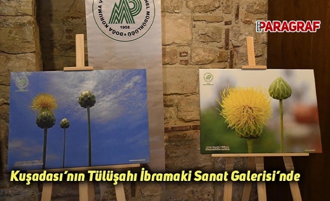 Kuşadası’nın Tülüşahı İbramaki Sanat Galerisi’nde