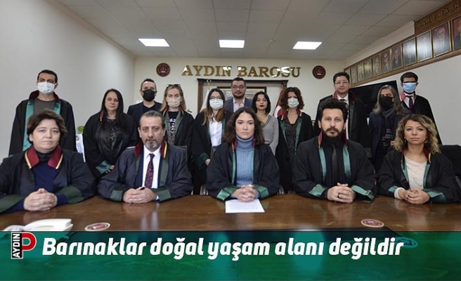 Barınaklar doğal yaşam alanı değildir