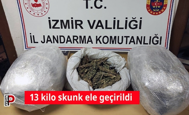 13 kilo skunk ele geçirildi