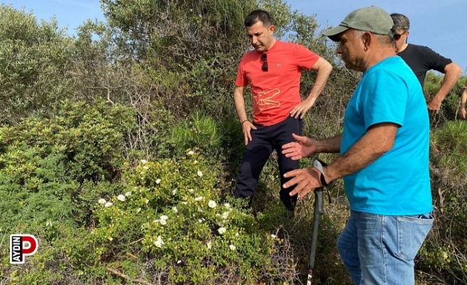 Başkan Günel doğa harikası Botanik Park için harekete geçti
