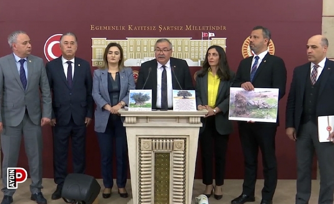 CHP’li Bülbül’den Danıştay’a Zeytinlik Çağrısı: Hukuka Aykırılığa Seyirci Kalıyorsunuz!