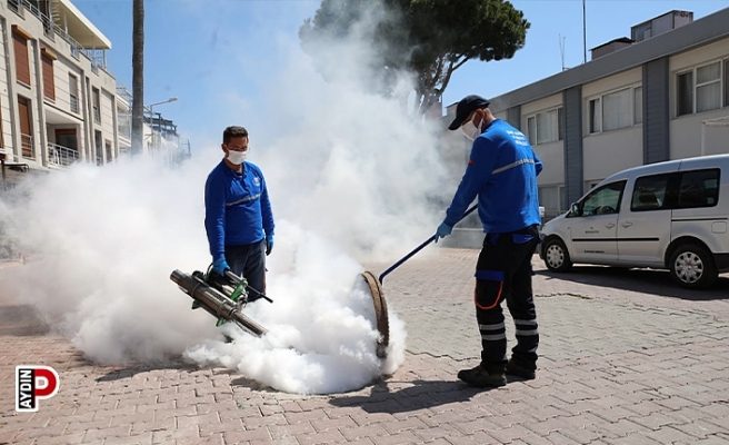 Didim’de ilaçlama çalışmaları başladı