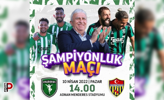 Efeler 09 profesyonel lig aşkına