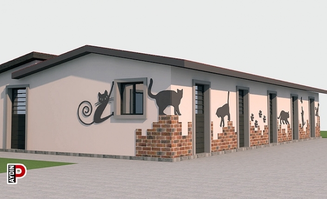 Kuşadası Belediyesi kedi tedavi ünitesinin yapımında son aşamaya geldi