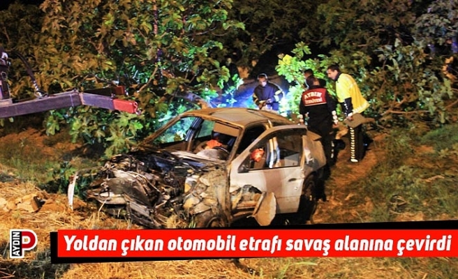 Yoldan çıkan otomobil etrafı savaş alanına çevirdi