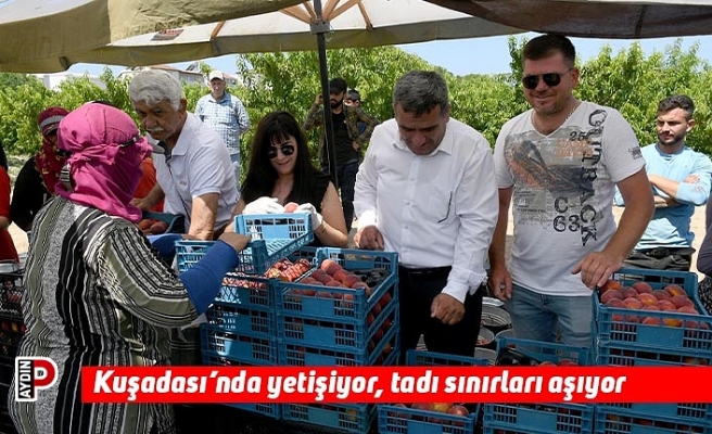 Kuşadası’nda yetişiyor, tadı sınırları aşıyor