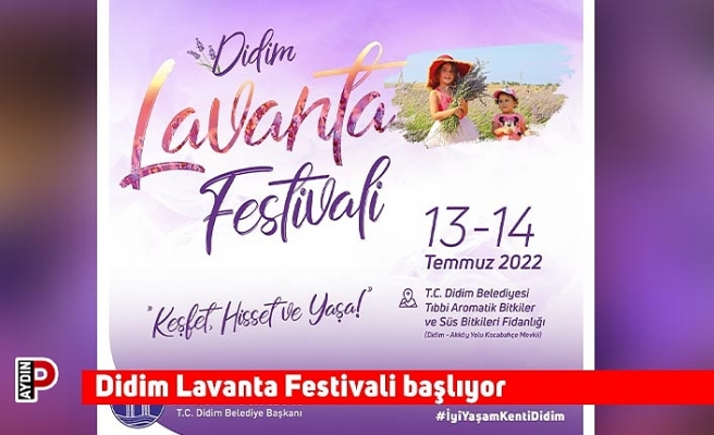 Didim Lavanta Festivali başlıyor