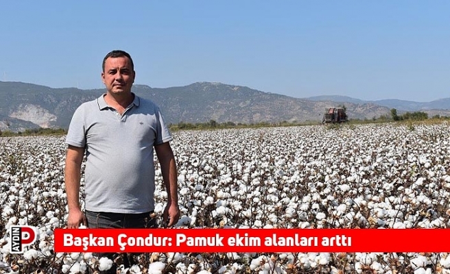 Başkan Çondur: Pamuk ekim alanları arttı