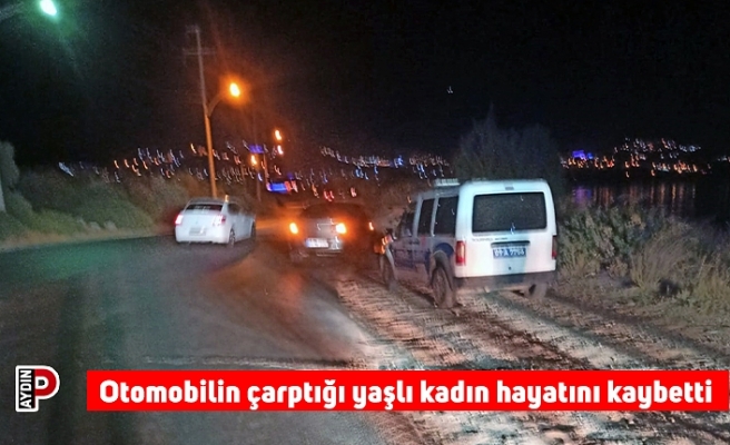 Otomobilin çarptığı yaşlı kadın hayatını kaybetti