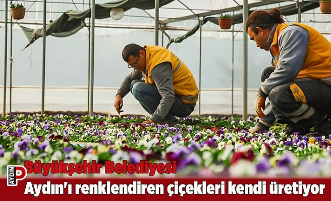 Büyükşehir Belediyesi Aydın'ı renklendiren çiçekleri kendi üretiyor