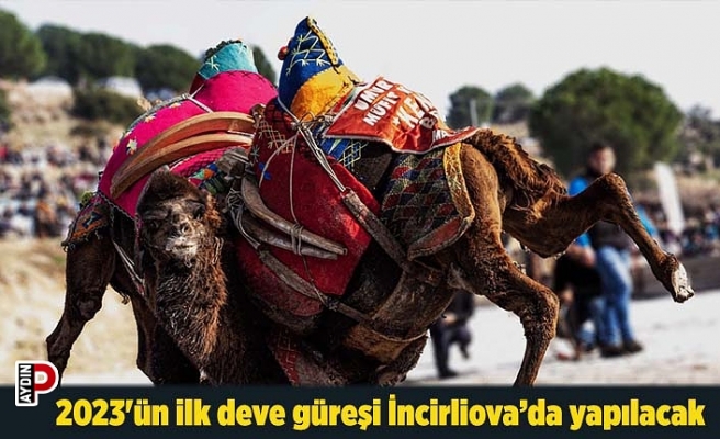 2023'ün ilk deve güreşi İncirliova’da yapılacak