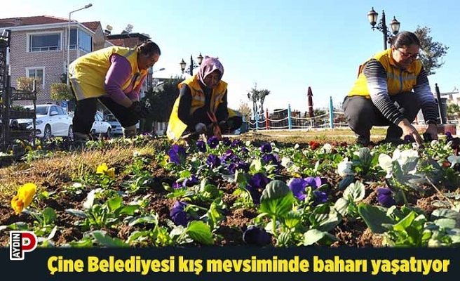 Çine Belediyesi kış mevsiminde baharı yaşatıyor