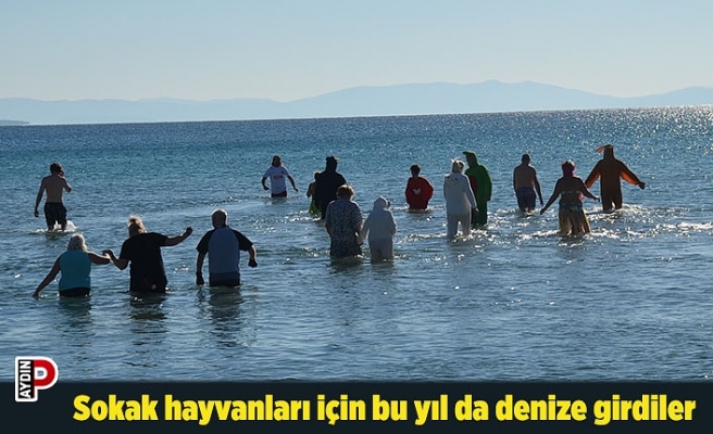 Sokak hayvanları için bu yıl da denize girdiler
