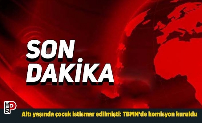 Altı yaşında çocuk istismar edilmişti: TBMM’de komisyon kuruldu