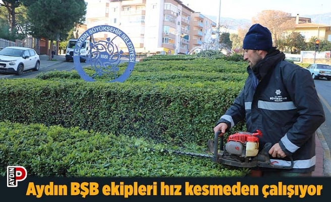 Aydın BŞB ekipleri hız kesmeden çalışıyor