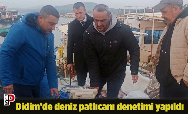 Didim’de deniz patlıcanı denetimi yapıldı