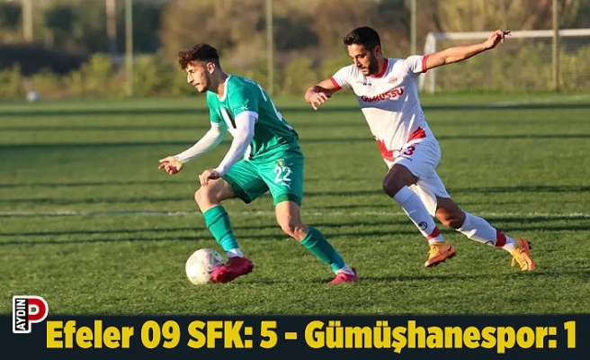 Efeler 09 SFK: 5 - Gümüşhanespor: 1