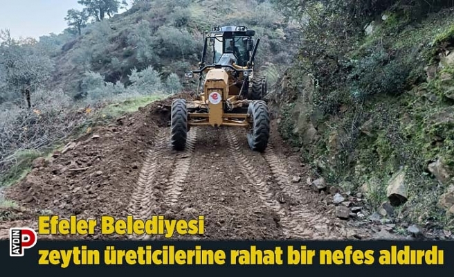 Efeler Belediyesi zeytin üreticilerine rahat bir nefes aldırdı