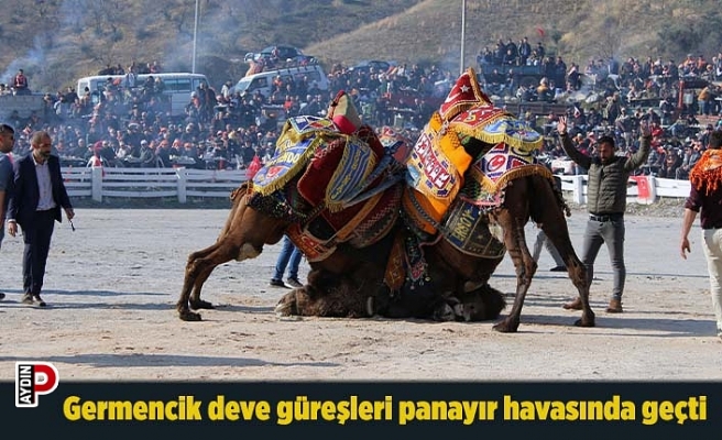 Germencik deve güreşleri panayır havasında geçti
