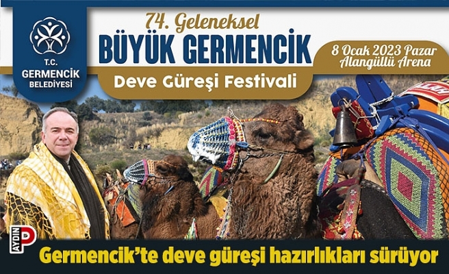 Germencik’te deve güreşi hazırlıkları sürüyor