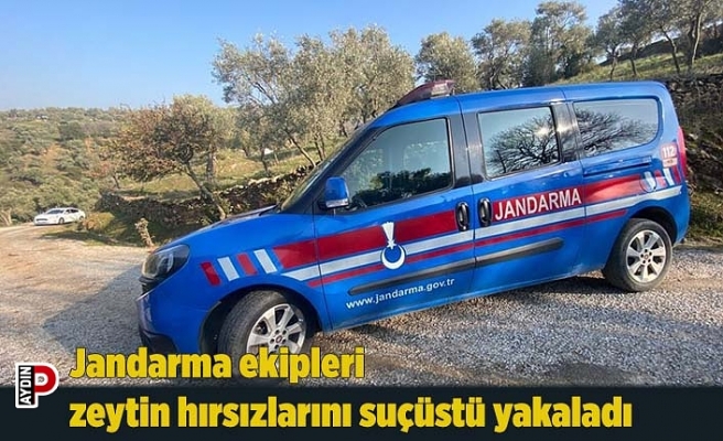 Jandarma ekipleri zeytin hırsızlarını suçüstü yakaladı