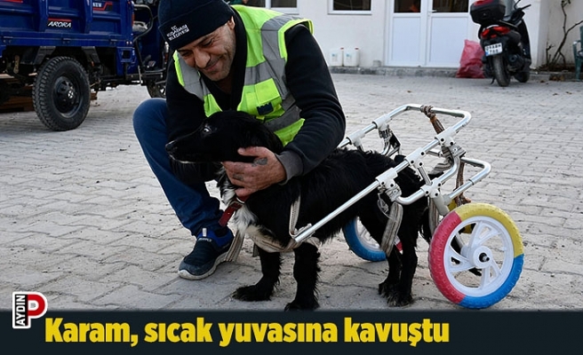 Karam, sıcak yuvasına kavuştu