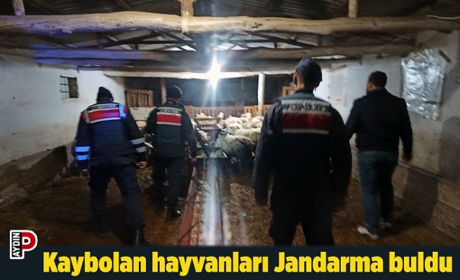 Kaybolan hayvanları Jandarma buldu