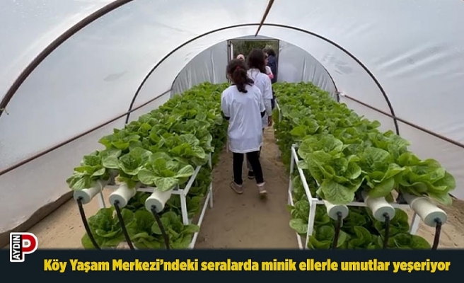 Köy Yaşam Merkezi’ndeki seralarda minik ellerle umutlar yeşeriyor