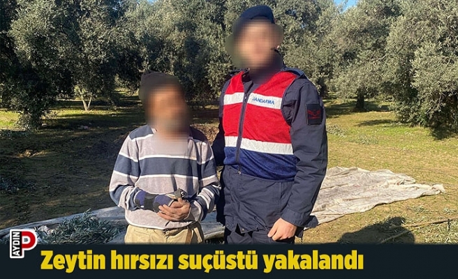 Zeytin hırsızı suçüstü yakalandı