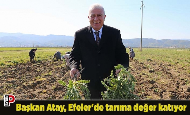 Başkan Atay, Efeler'de tarıma değer katıyor