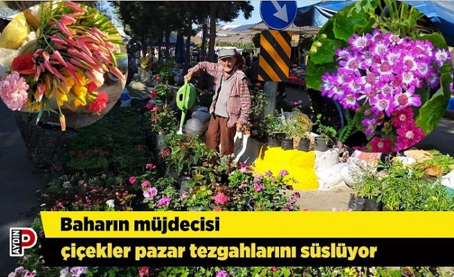 Baharın müjdecisi çiçekler pazar tezgahlarını süslüyor