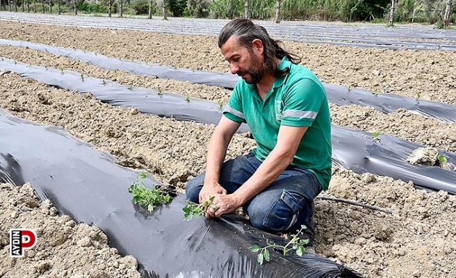 Adabahçe’ye yaz bereketiyle geldi