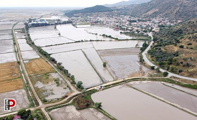 Sel, tarlaları sular altında bıraktı