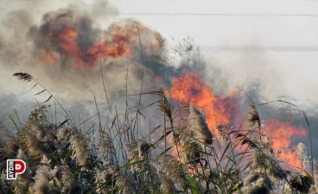 Aydınlı çiftçiler anız yakımına karşı uyarıldı
