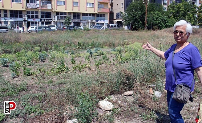 Aykonut mağdurlarının umutları tükendi