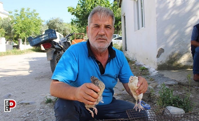 Bıldırcın üreticileri kendilerine kolaylık sağlanmasını istiyor