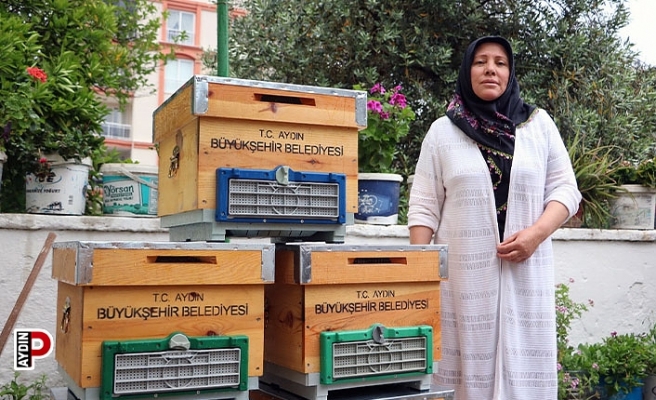 Büyükşehir'den kadın arıcılara kovan desteği