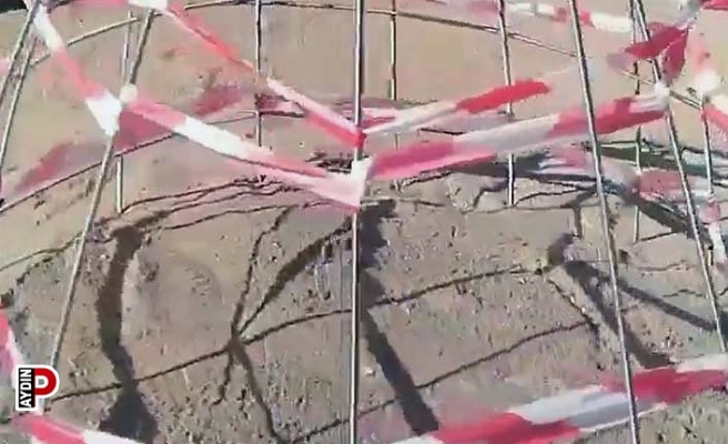 Didim “Caretta Caretta”ların yeni yuvası oldu