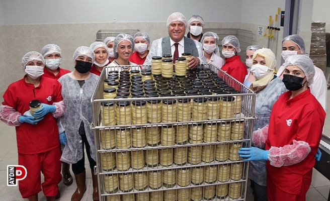 Efeler'in Tarımsal Ürün Fabrikası Türkiye'ye örnek oluyor