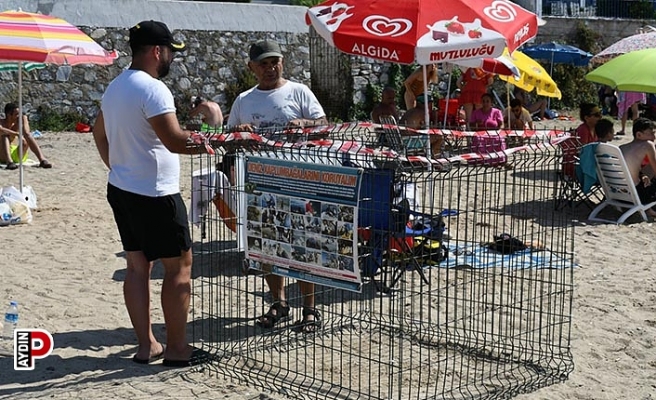 Kuşadası'nda caretta caretta yuvasına çitli koruma