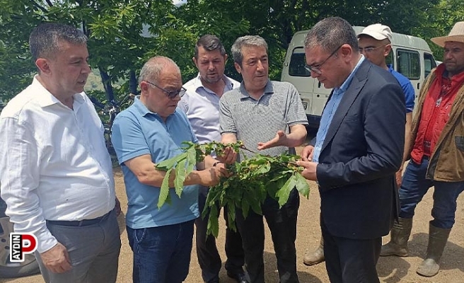 Milletvekili Karakoz, Köşk’te kestane üreticileri ile buluştu