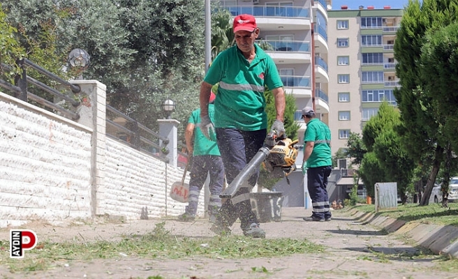 Efeler'in parkları pırıl pırıl oluyor