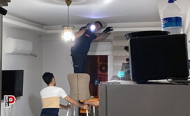 Eve giren yarasa korkuya neden oldu