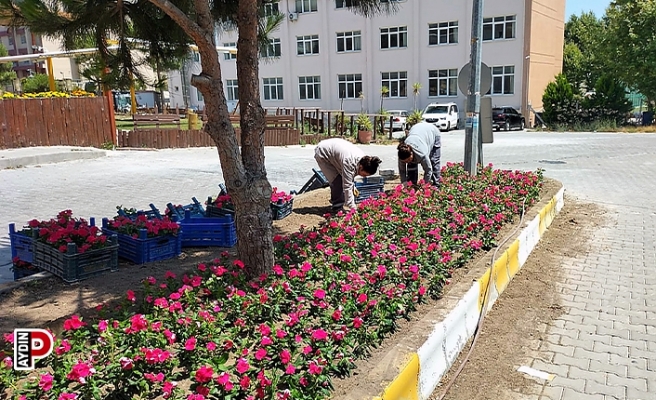 Söke çiçeklerle renkleniyor